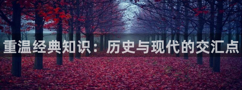 开局地推买大力小说txt奇书网：重温经典知识：历史与现代的交汇点